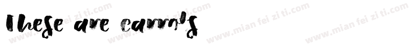 These are carrots字体转换